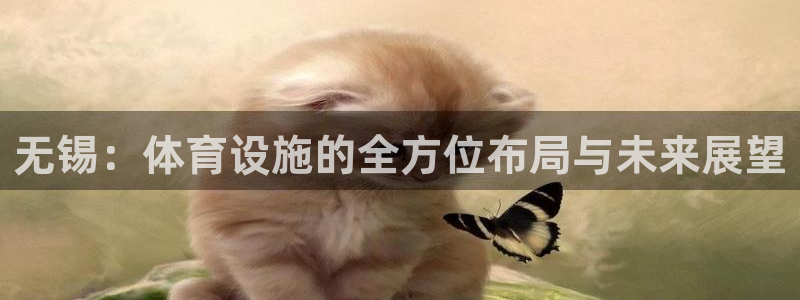 意昂4官方：无锡：体育设施的全方位布局与未来展望