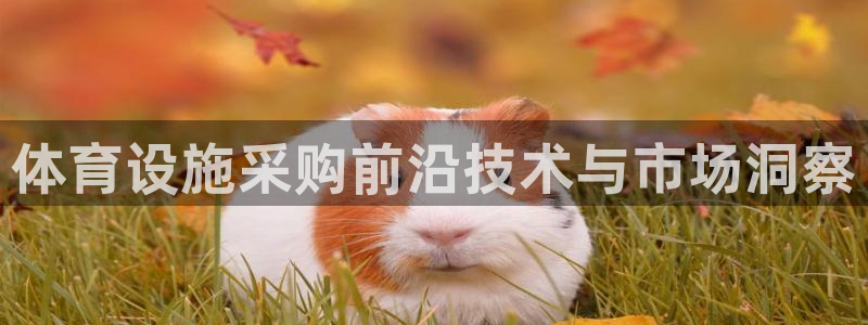 意昂4集团官网首页网址：体育设施采购前沿技术与市场洞