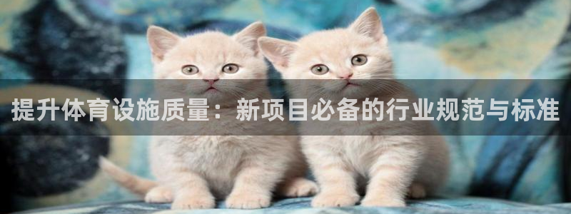 意昂体育4：提升体育设施质量：新项目必备的行业规范与