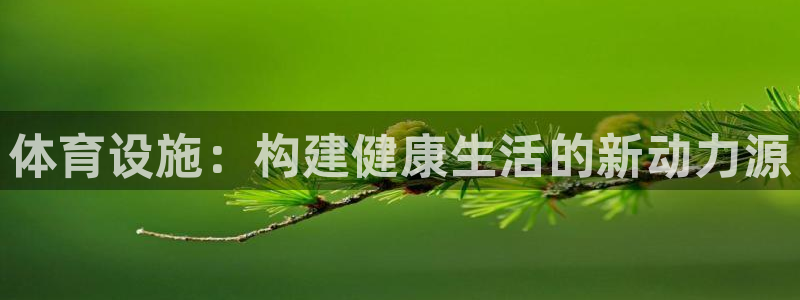 意昂4五金厂：体育设施：构建健康生活的新动力源