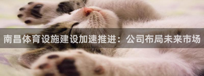意昂平台体育：南昌体育设施建设加速推进：公司布局未来