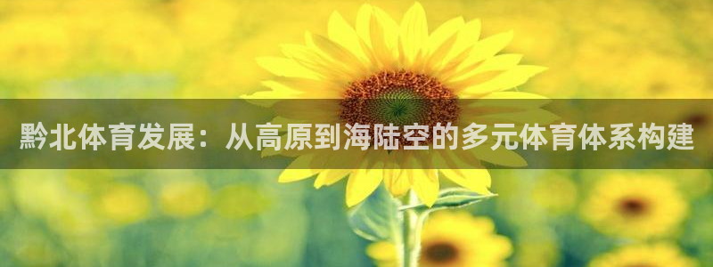 意昂4集团官网首页网址：黔北体育发展：从高原到海陆空