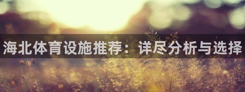 意昂4娱乐是那个系列的台子：海北体育设施推荐：详尽分析与选择