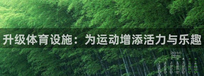 意昂体育4联系电话：升级体育设施：为运动增添活力与乐