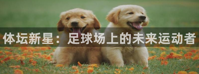 意昂4娱乐代理怎么样：体坛新星：足球场上的未来运动者