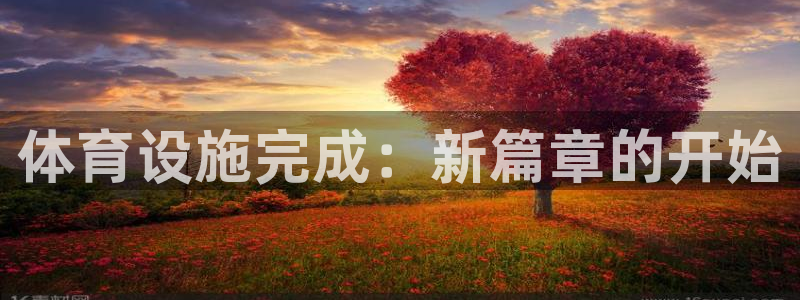 意昂体育4招商电话号码：体育设施完成：新篇章的开始