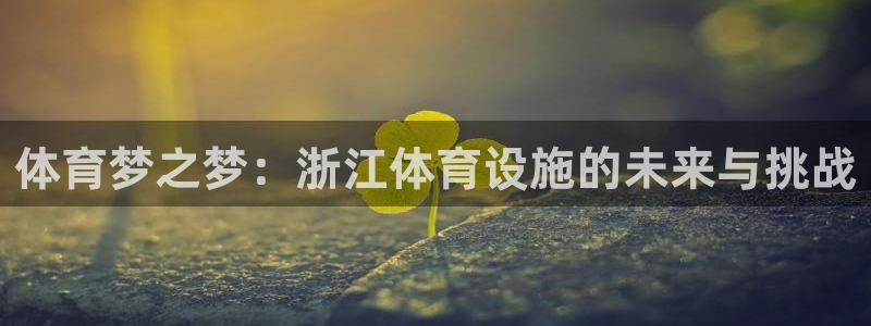 意昂4五金厂：体育梦之梦：浙江体育设施的未来与挑战
