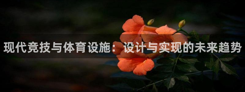 意昂集团官网：现代竞技与体育设施：设计与实现的未来趋