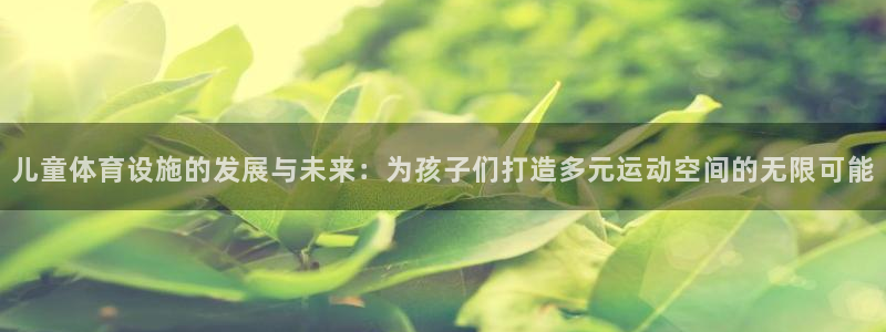 意昂4五金厂：儿童体育设施的发展与未来：为孩子们打造