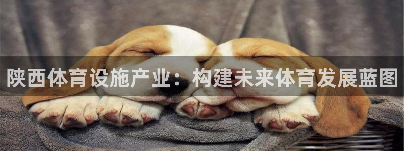 意昂4娱乐平台：陕西体育设施产业：构建未来体育发展蓝图
