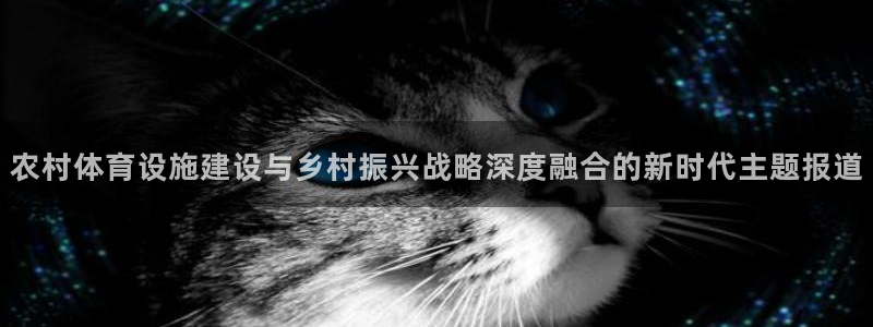 意昂4娱乐下载：农村体育设施建设与乡村振兴战略深度融