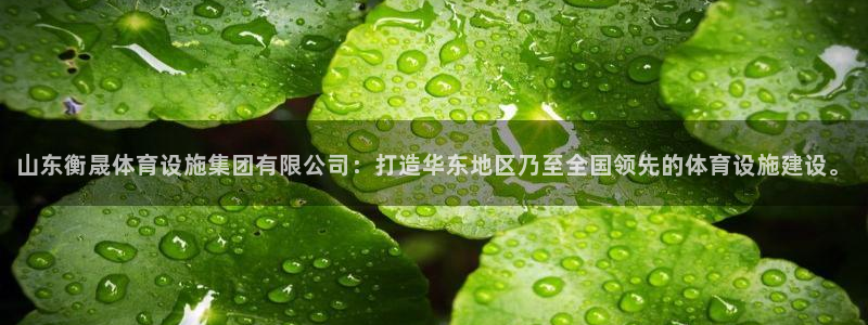 意昂体育4招商：山东衡晟体育设施集团有限公司：打造华东地区乃