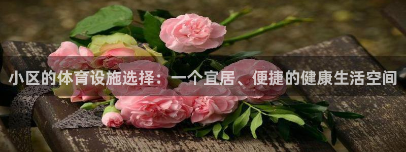 意昂4娱乐下载：小区的体育设施选择：一个宜居、便捷的