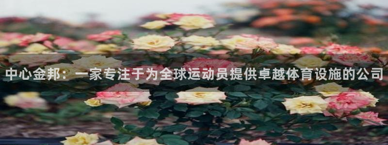 意昂体育4平台注册：中心金邦：一家专注于为全球运动员提供卓越