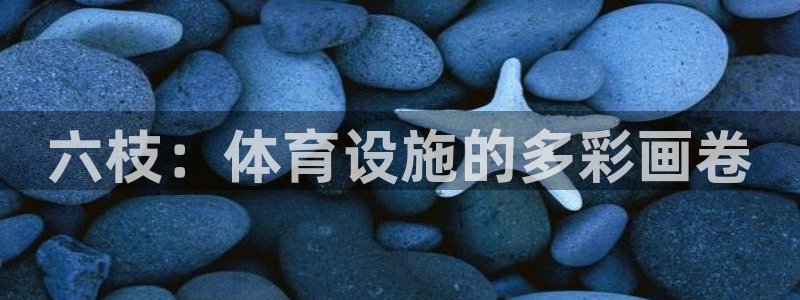 注册意昂4：六枝：体育设施的多彩画卷 