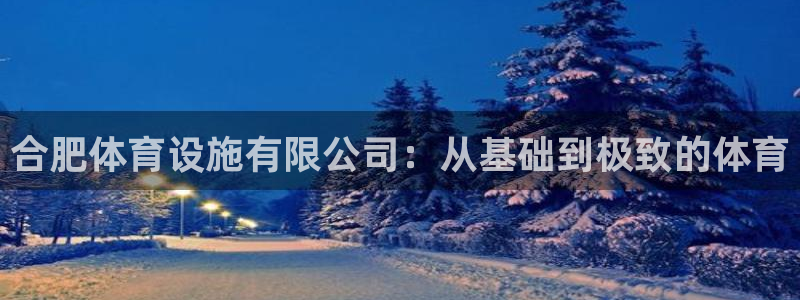意昂体育4官方客服电话：合肥体育设施有限公司：从基础