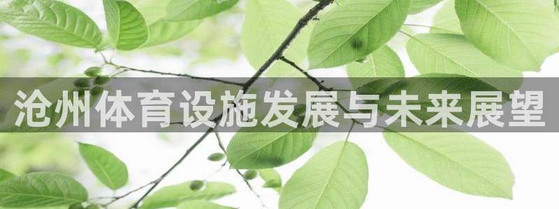 意昂体育4：沧州体育设施发展与未来展望