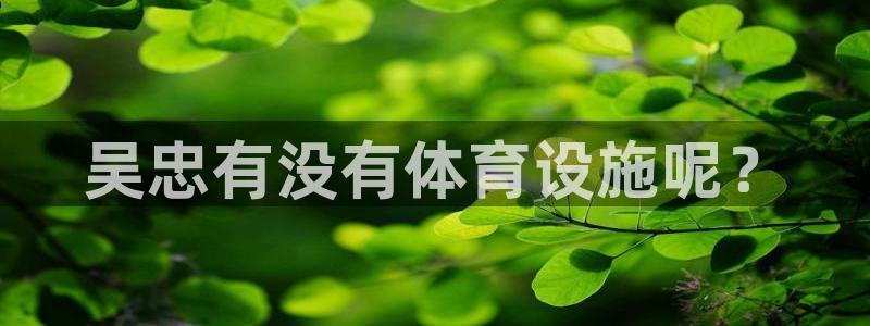 意昂体育4是干嘛的公司：吴忠有没有体育设施呢？