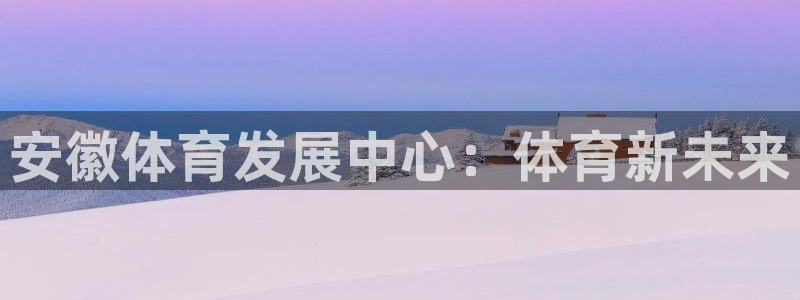 意昂4五金厂：安徽体育发展中心：体育新未来