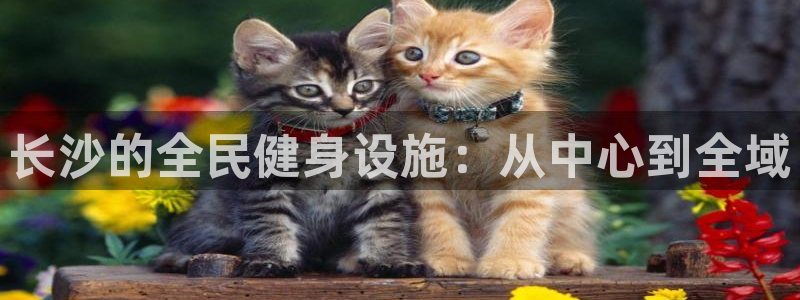 意昂体育4平台注册要钱吗：长沙的全民健身设施：从中心