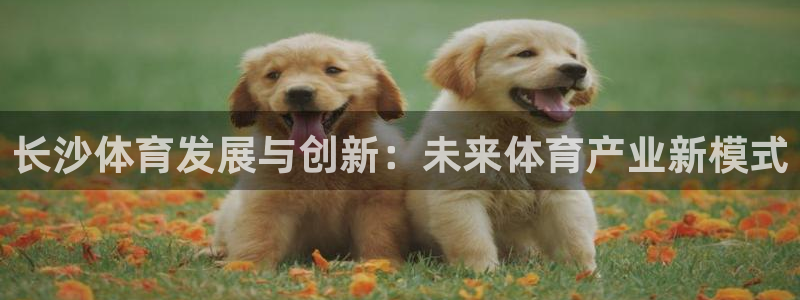 意昂体育4招商电话地址是多少：长沙体育发展与创新：未