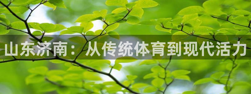 意昂集团官网：山东济南：从传统体育到现代活力