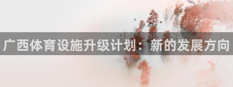 意昂4娱乐代理怎么样：广西体育设施升级计划：新的发展