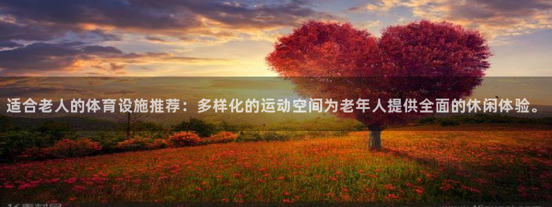 意昂4官网：适合老人的体育设施推荐：多样化的运动空间