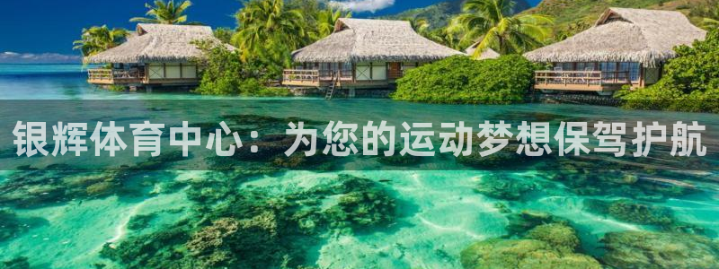 意昂4五金厂：银辉体育中心：为您的运动梦想保驾护航