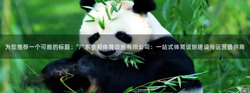 意昂4集团官网首页：为您推荐一个可能的标题：\