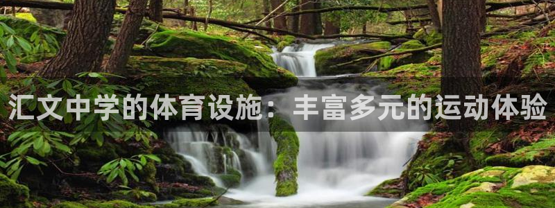 意昂体育4招商电话地址：汇文中学的体育设施：丰富多元