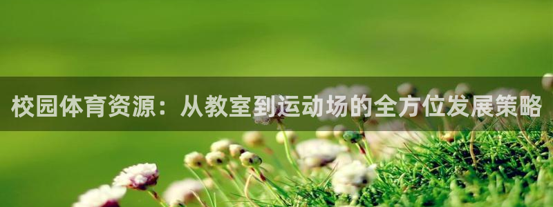 意昂4代理：校园体育资源：从教室到运动场的全方位发展