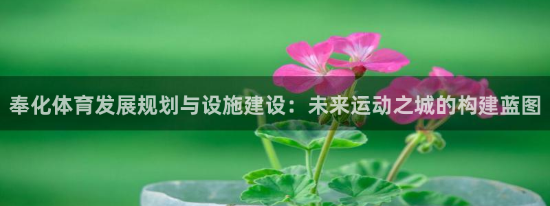 意昂4官方：奉化体育发展规划与设施建设：未来运动之城