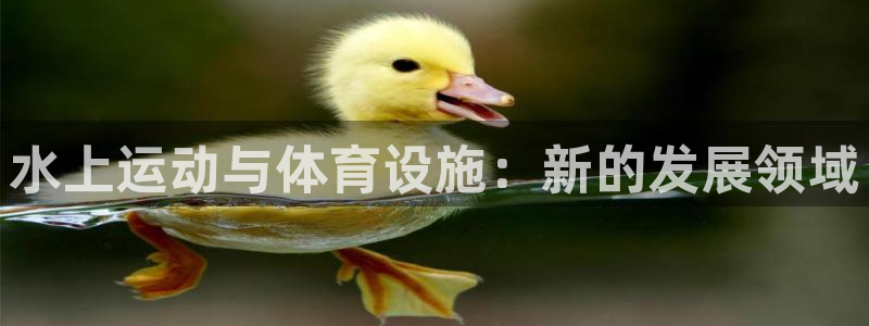德国意昂4集团：水上运动与体育设施：新的发展领域