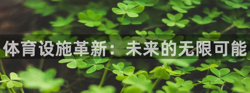 意昂4科技：体育设施革新：未来的无限可能