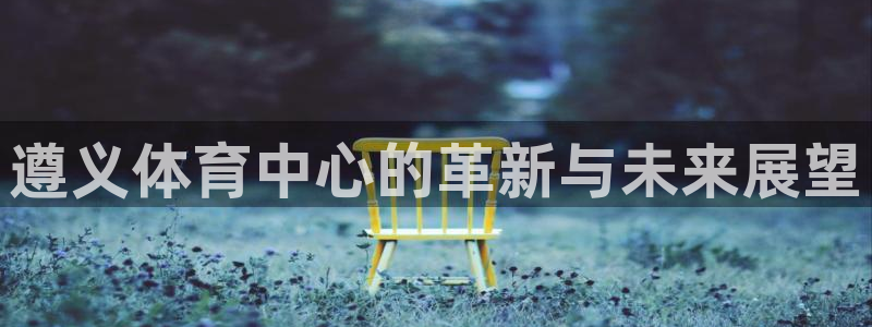 意昂体育4平台：遵义体育中心的革新与未来展望