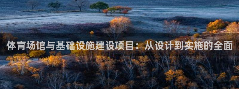 意昂体育4：体育场馆与基础设施建设项目：从设计到实施