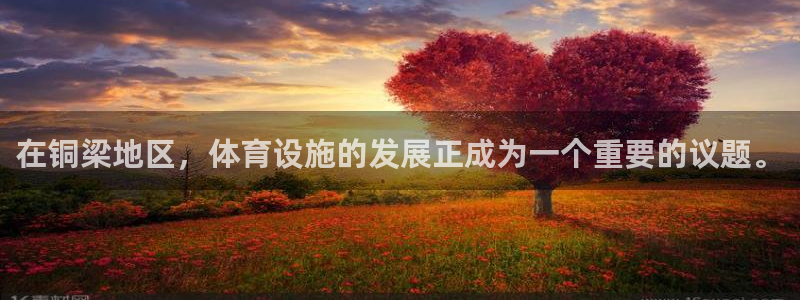 意昂4集团E.ON：在铜梁地区，体育设施的发展正成为