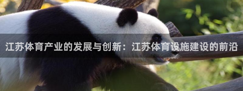 意昂4代理：江苏体育产业的发展与创新：江苏体育设施建