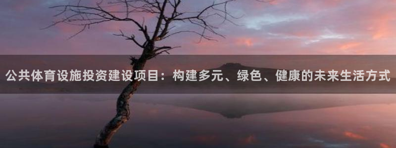 意昂体育4注册：公共体育设施投资建设项目：构建多元、绿色、健