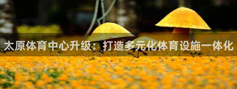 海南意昂体育4发展怎么样：太原体育中心升级：打造多元化体育设