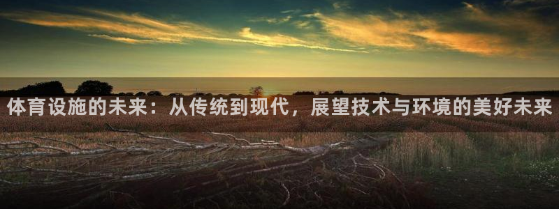 意昂4开户：体育设施的未来：从传统到现代，展望技术与