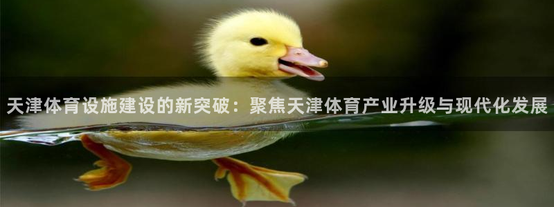 注册意昂4：天津体育设施建设的新突破：聚焦天津体育产