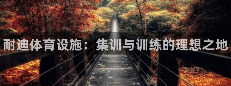意昂体育4招商电话地址：耐迪体育设施：集训与训练的理