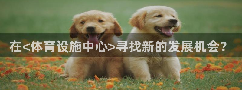 意昂体育4招商电话号码：在<体育设施中心>寻找新的发