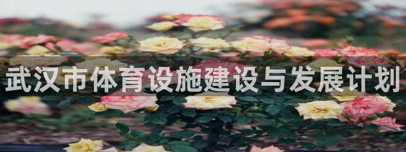 海南意昂体育4发展怎么样：武汉市体育设施建设与发展计