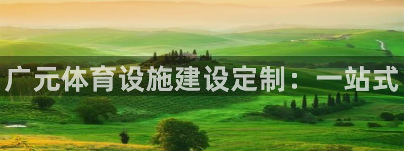 意昂4新能源：广元体育设施建设定制：一站式