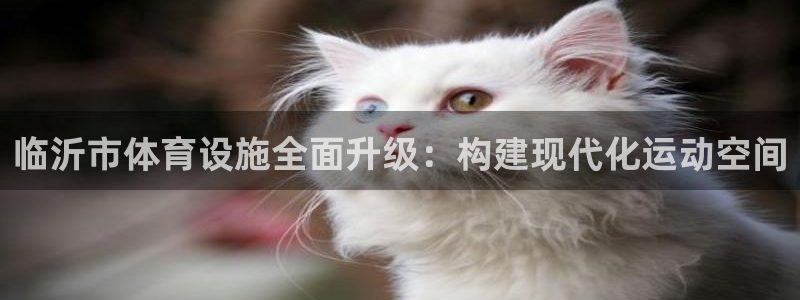 意昂4五金厂：临沂市体育设施全面升级：构建现代化运动