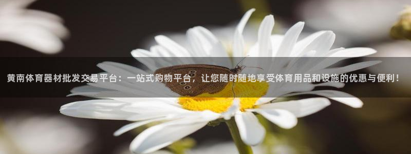 意昂4神州：黄南体育器材批发交易平台：一站式购物平台