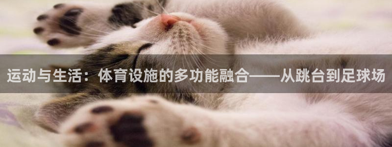 意昂体育4招商电话号码是多少号：运动与生活：体育设施